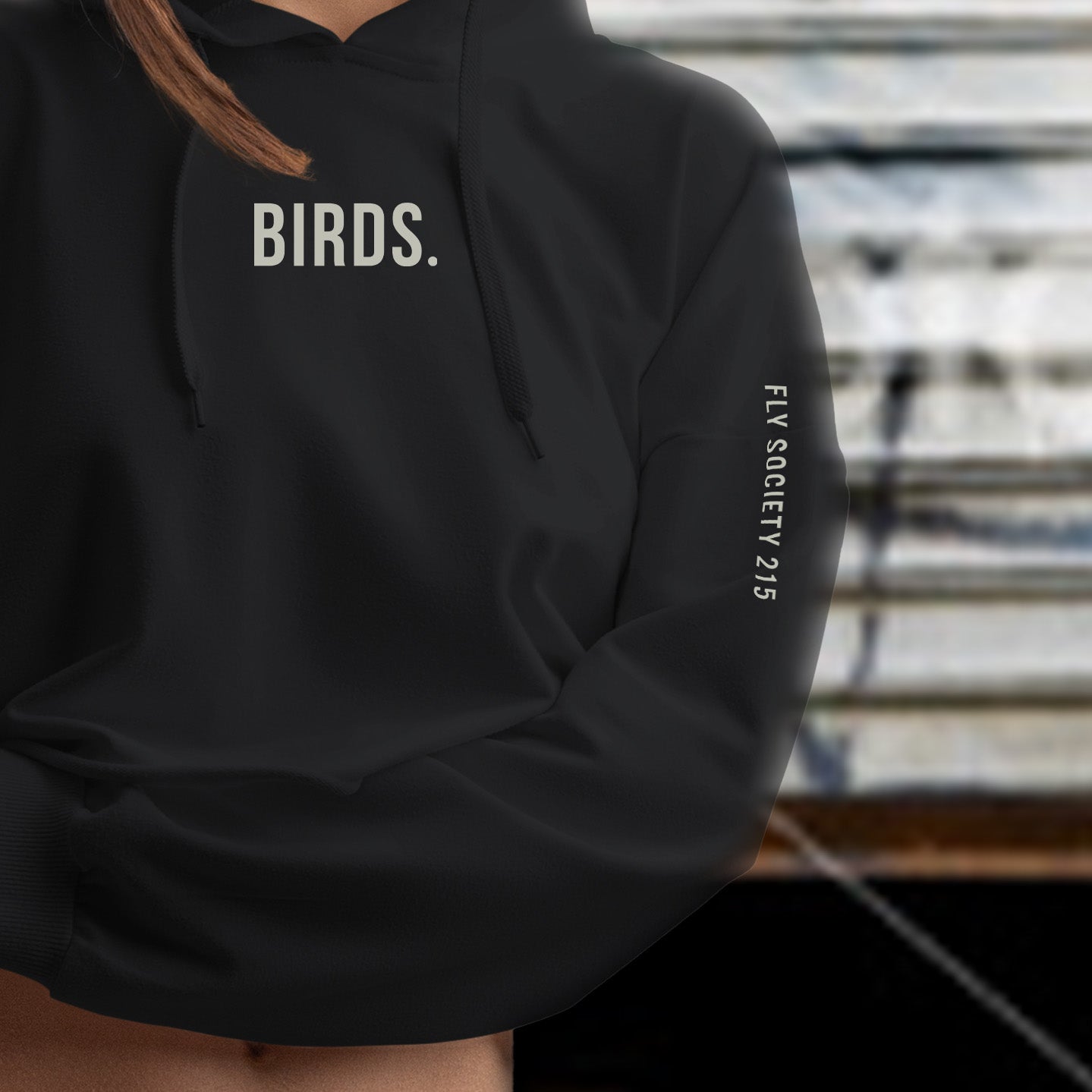 Birds Cropped Hoodie