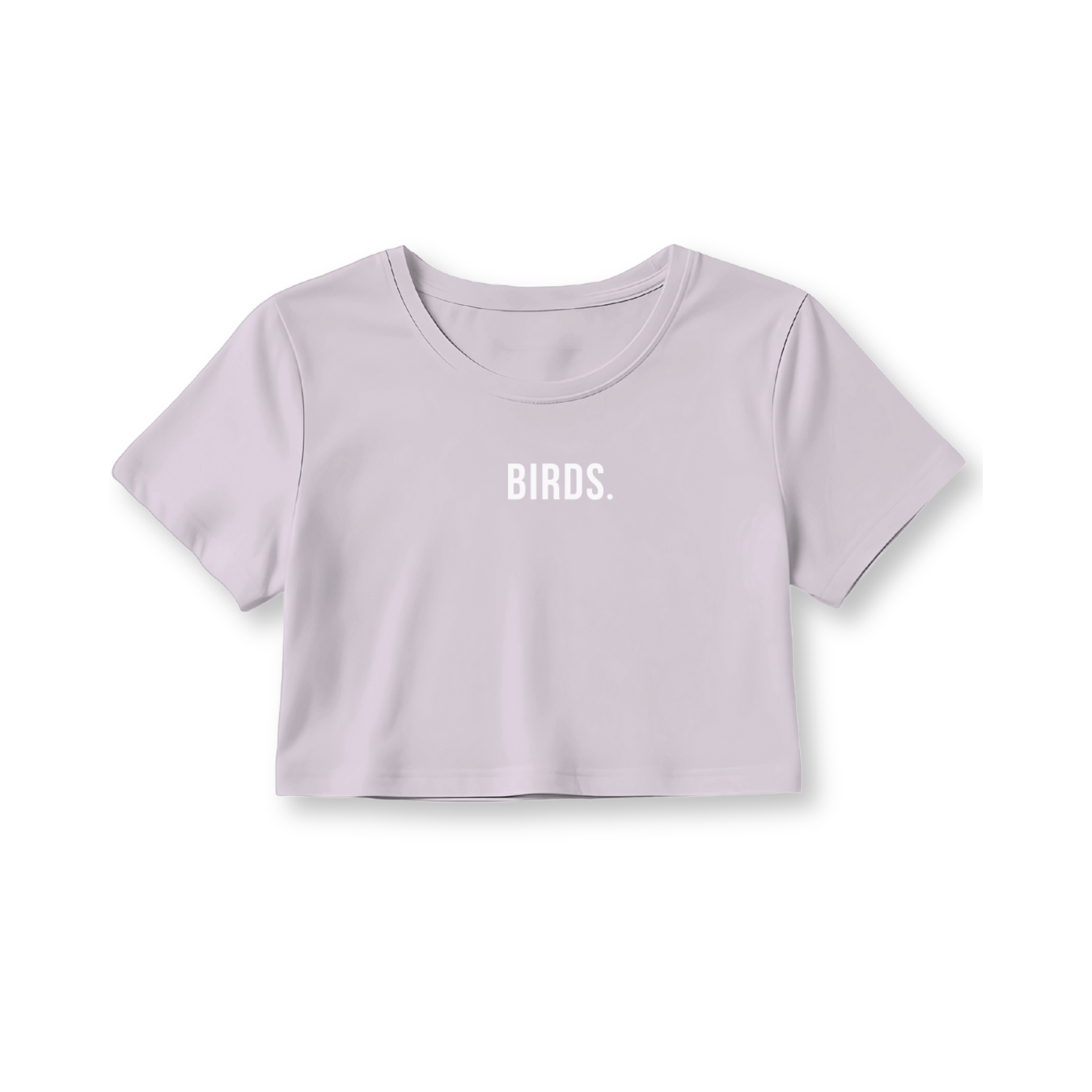 Fly Society 215 Birds cropped tee in a light colourway with tonal white print.