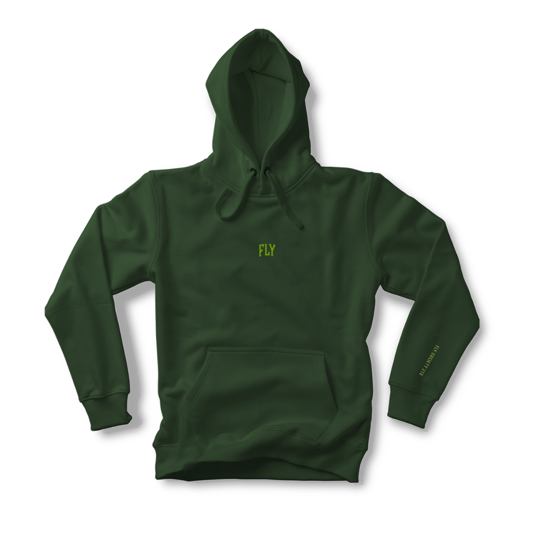 Embroidered Fly Arc Heavyweight hoodie