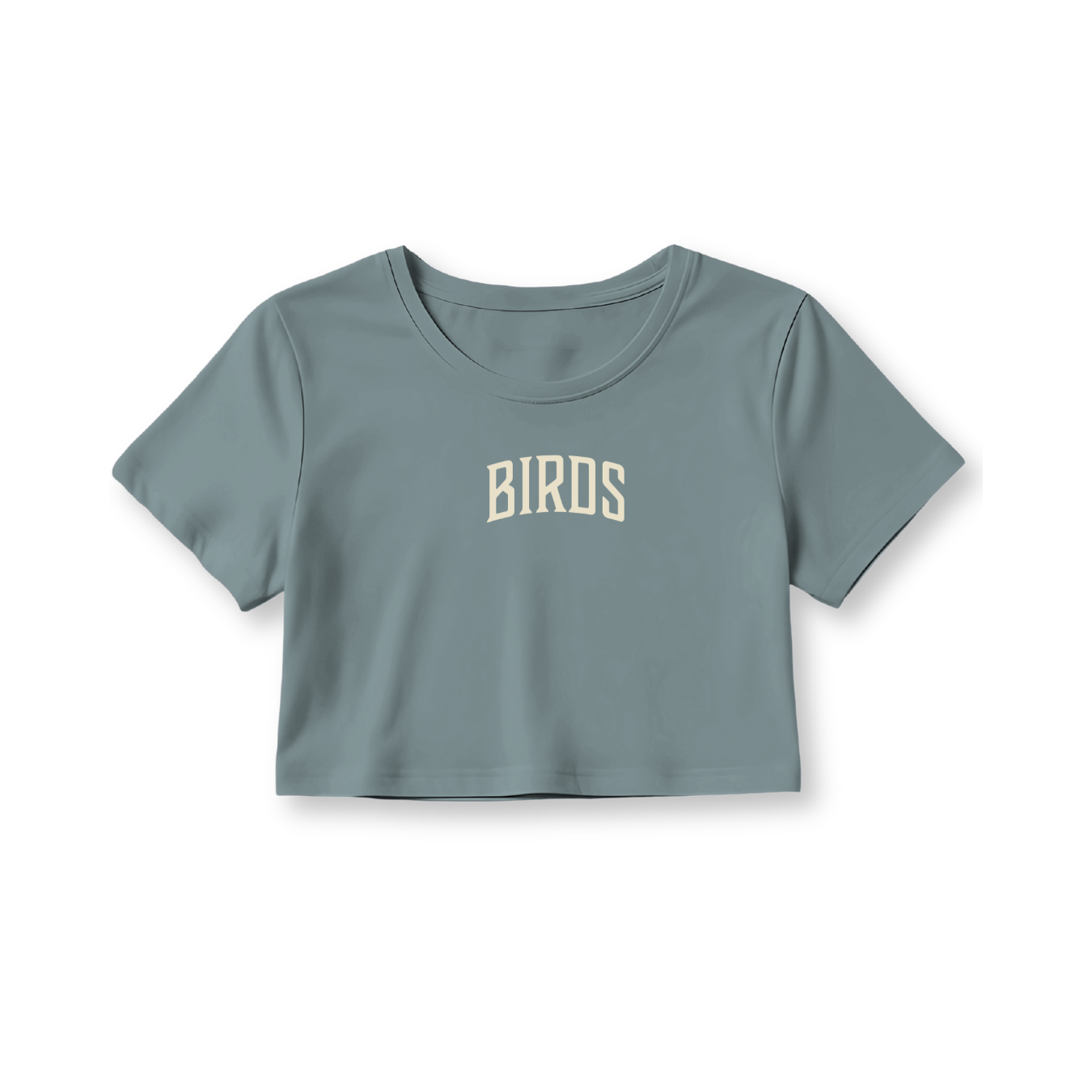 Fly Society 215 Birds Arc cropped tee in bone print.