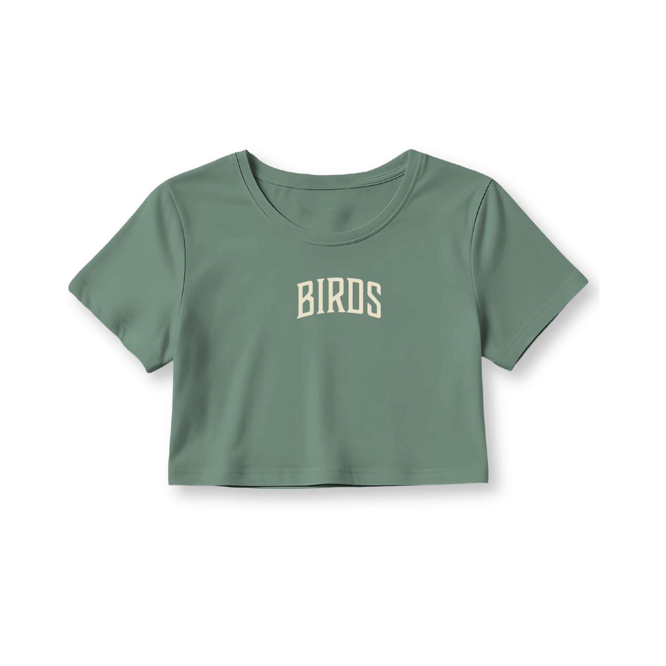 Fly Society 215 Birds Arc cropped tee in bone print, alternate view.