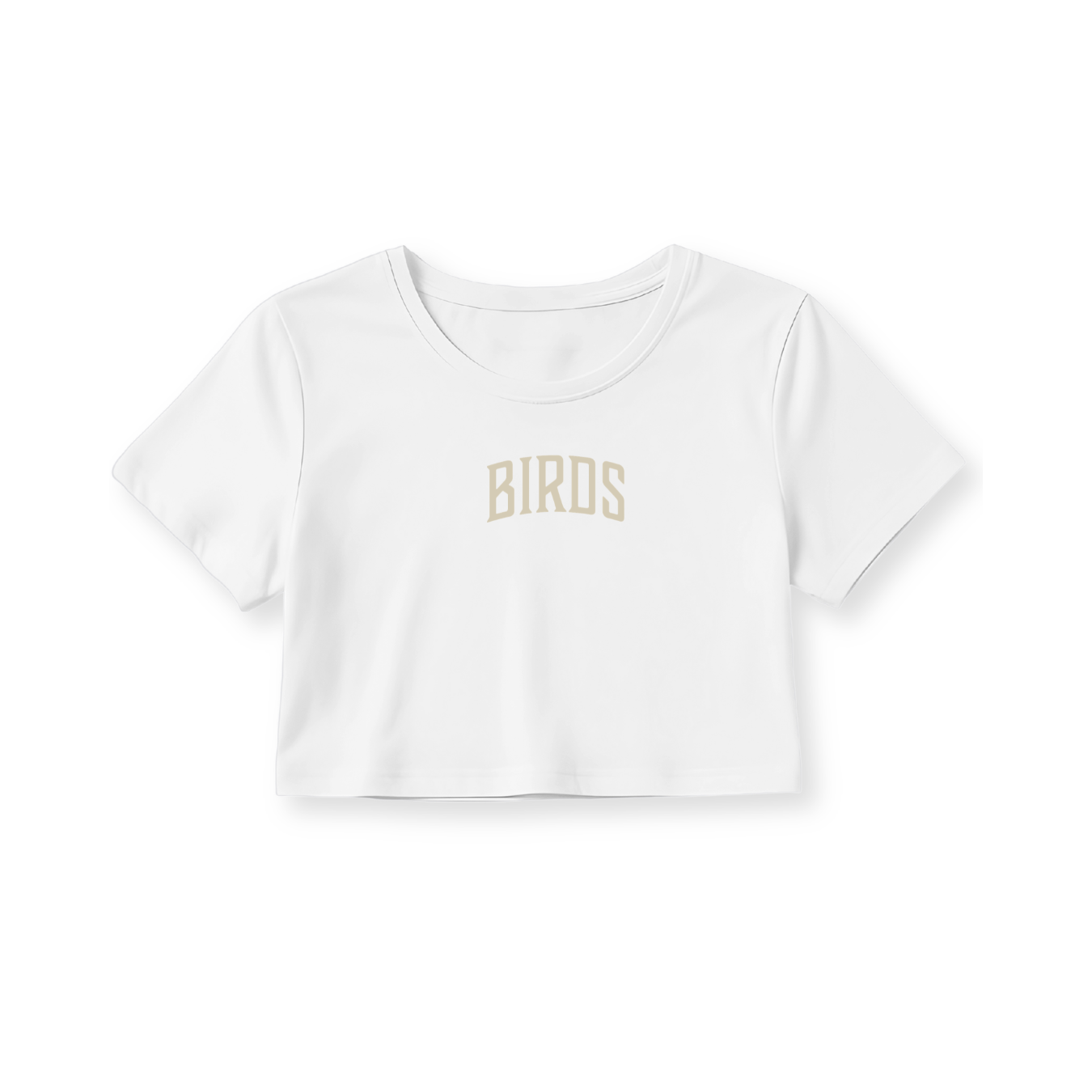 Fly Society 215 Birds Arc cropped tee in bone print, detail of the graphic.