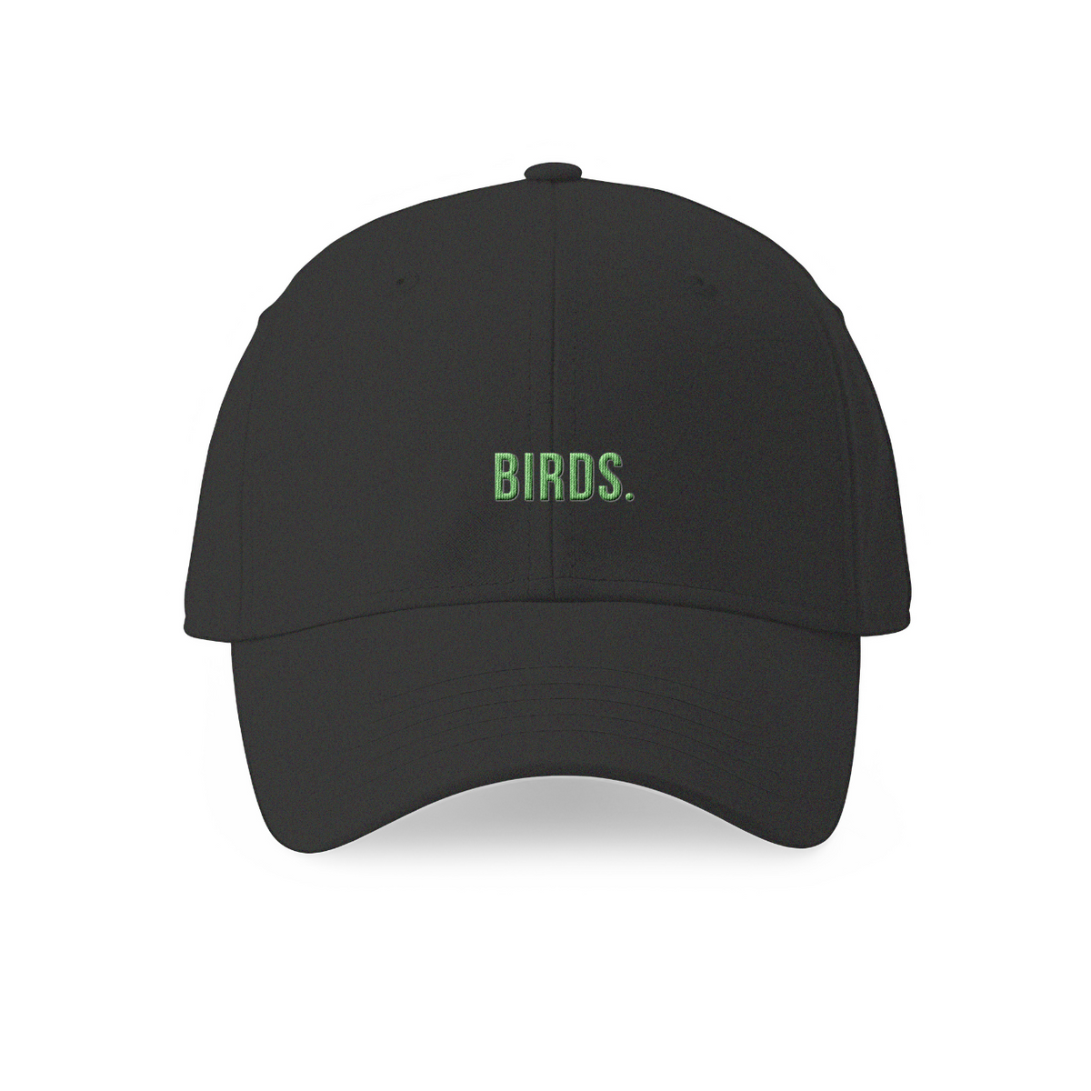 Birds Embroidered Dad Hat