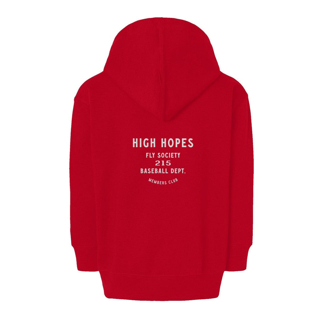 Toddler High Hopes Graphic Hoodie