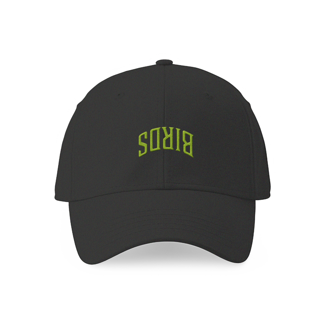 Embroidered Birds Upside Down Arc Dad Hat