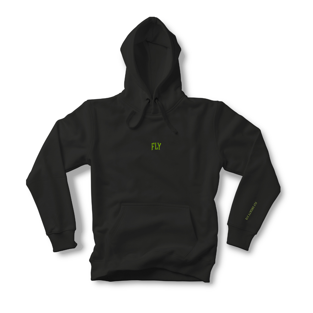Embroidered Fly Arc Heavyweight hoodie