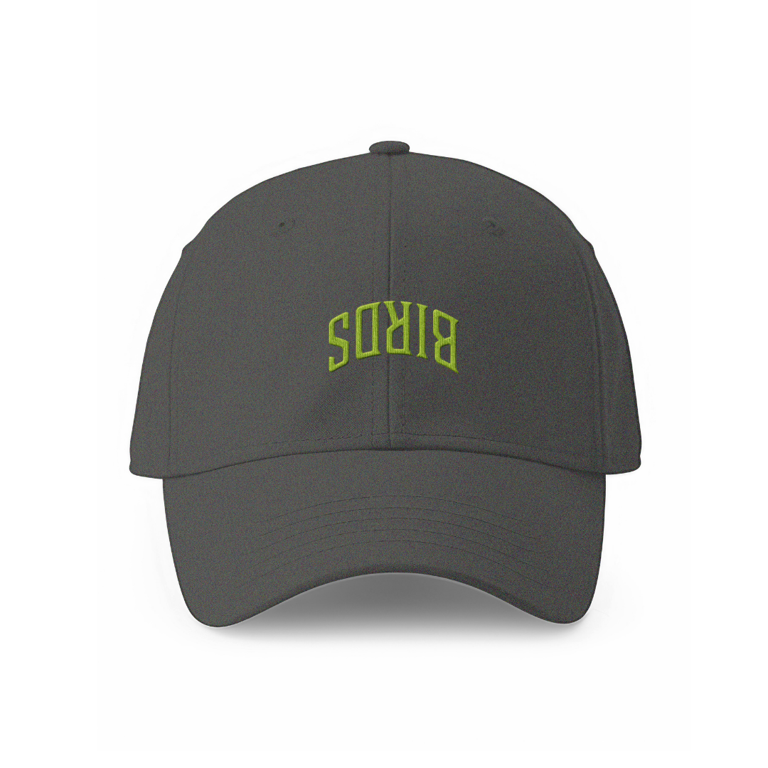 Embroidered Birds Upside Down Arc Dad Hat
