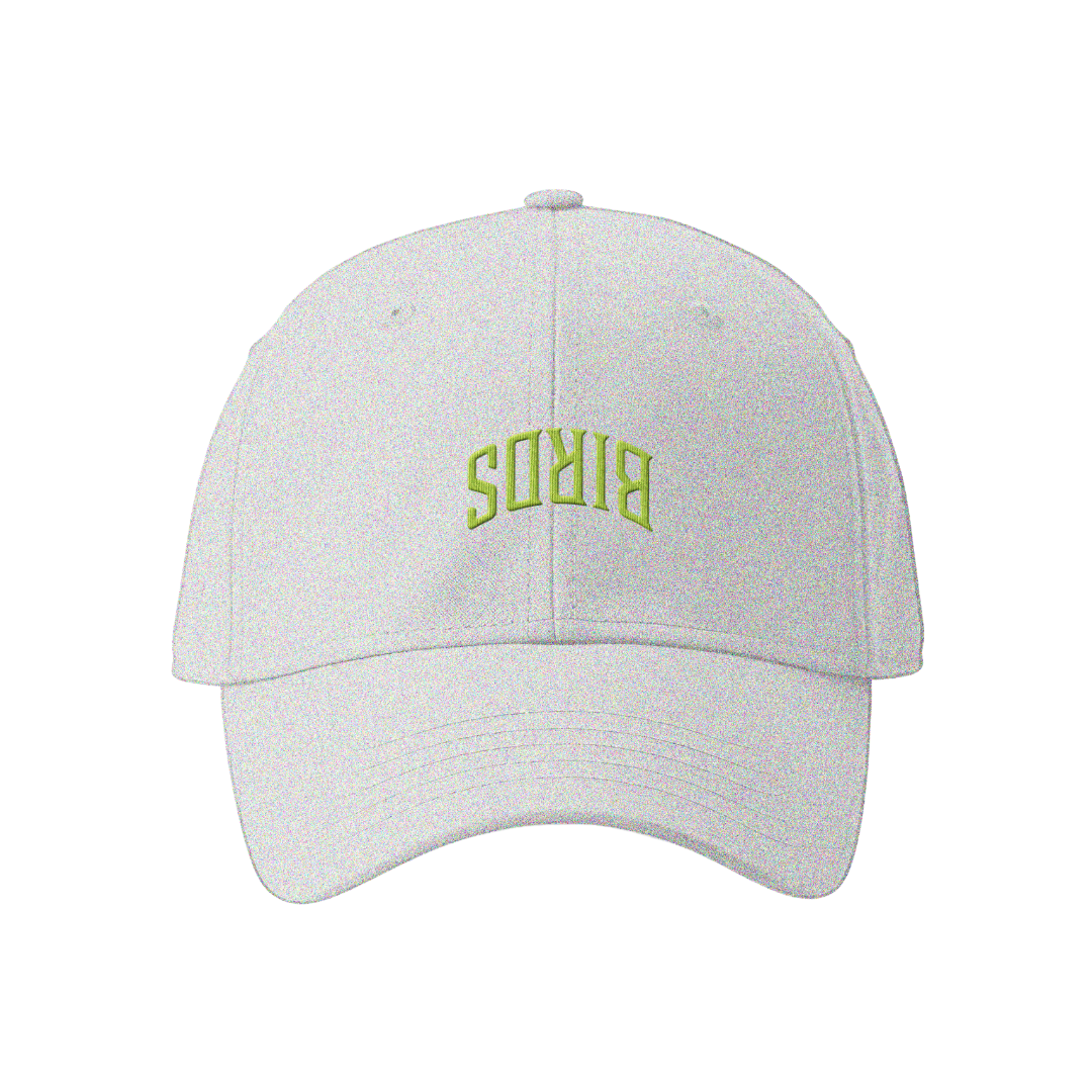 Embroidered Birds Upside Down Arc Dad Hat