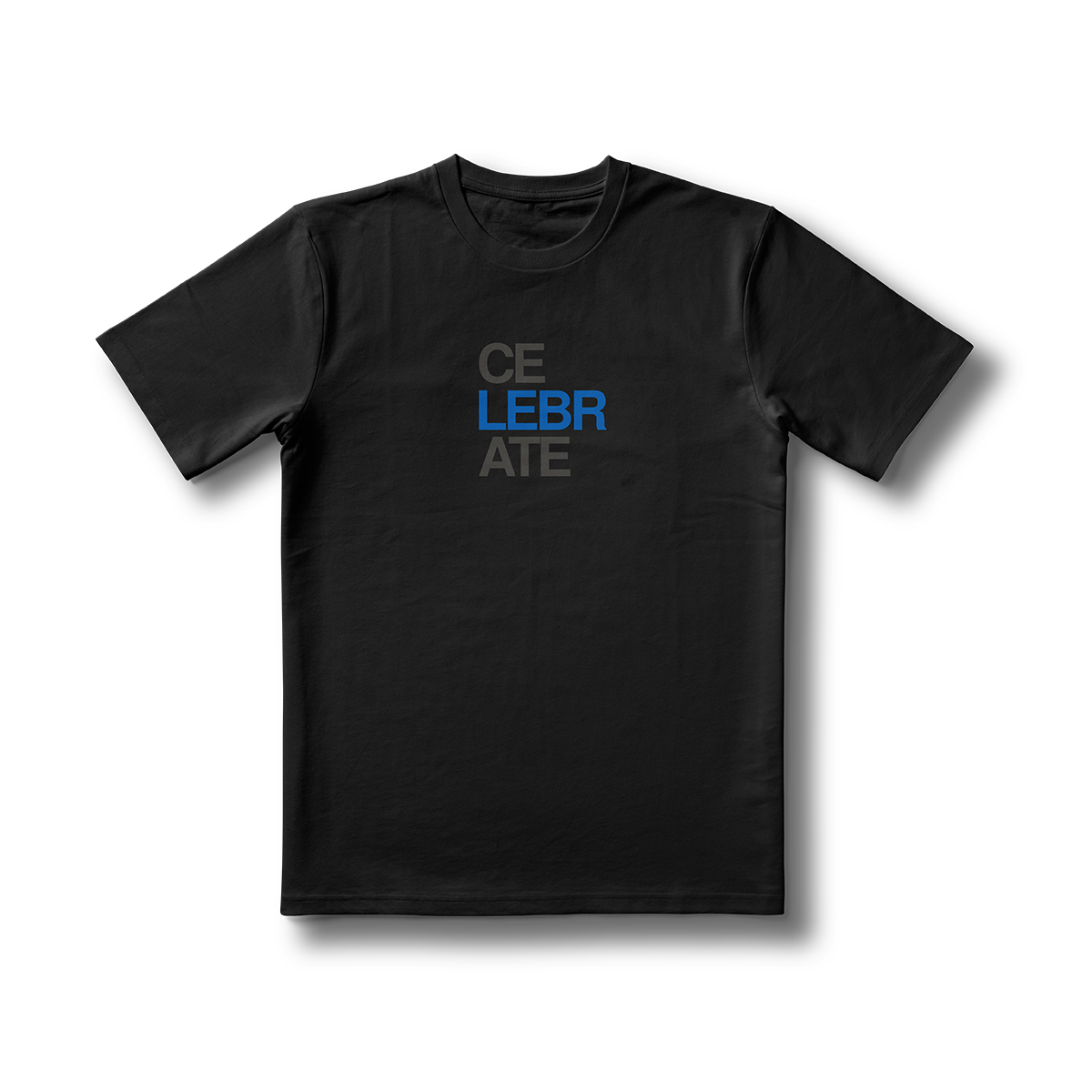 Fly Society 215 ceLEBRate triblend tee, Philadelphia basketball graphic.